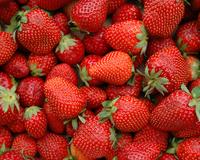 Ne jetez pas vos queues de fraises, c’est un trésor (surtout pour vos plantes)
