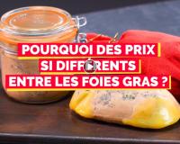 Pourquoi y a-t-il autant de différences de prix entre les foies gras ?