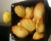 Madeleines aux zestes de citron