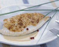 Filet de turbot poêlé, un voile de parmesan épices, fumet réduit aux épices du pain