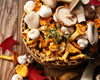 Vous mangez vos champignons crus ? Voici pourquoi il vaut mieux éviter