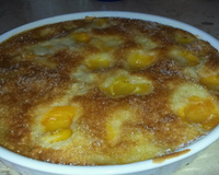 Gâteau aux abricots classique