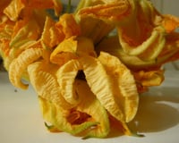 Petites galettes de fleurs de courgettes