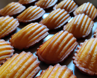 Madeleines, un classique à savourer