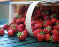 Ces astuces vont vous permettre de conserver vos fraises plus longtemps