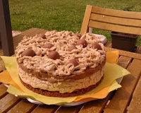 Mousse spéculos et chocolat sur croquant au praliné