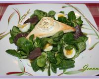 Une belle entrée qui va plaire à tous vos convives ! Servez cette salade avec son fromage de chèvre et de ses gésiers bien chauds sans attendre car cela refroidit très…