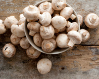 Podcast : Les champignons de Paris