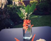 Savoureuse, légère, voilà la sauce au surimi qui accompagnera parfaitement des légumes de saison pour un apéritif en toute convivialité ! Une recette réalisée d'un coup…
