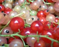 Facile, parfumée et fruitée