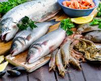 Quels sont les poissons de saison en hiver ?