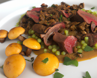 Pigeonneau aux girolles et lentilles