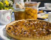 Tarte sablée aux mirabelles