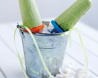 Glace à l'Avocat Hass du Pérou