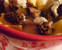 Une recette simple avec du goût pour finir les morilles du placard.