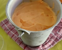 Sorbet à l'abricot