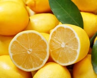 “Simple et spectaculaire” : faites des citrons givrés de compétition avec la recette partagée par François-Régis Gaudry