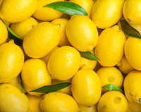 Au frigo ou à température ambiante : quelle est la meilleure option pour conserver longtemps ses citrons ?
