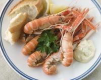 langoustines