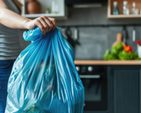 Que mettre dans sa poubelle pour éloigner les mouches cet été ?