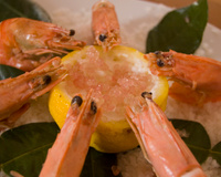 Crevettes et leur dip au yuzu.