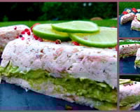 Terrine aux 2 saumons et avocat