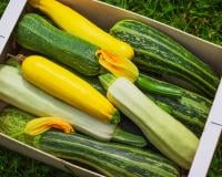 Faut-il garder ou retirer la peau de la courgette ?