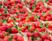 Pour choisir de bonnes fraises, les labels ne seraient pas forcément un indice fiable selon l’UFC-Que Choisir