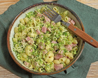 Risotto de coquillettes au jambon et fromage, semoule de brocoli