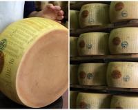 Pourquoi le Parmesan est si bon : tous les secrets de sa production