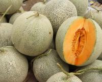 Rappel produit : des melons vendus en supermarché contaminés par des pesticides