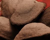 Madeleines originales!