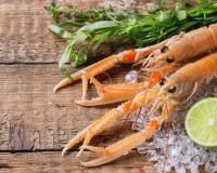 Comment réussir la cuisson des langoustines ?