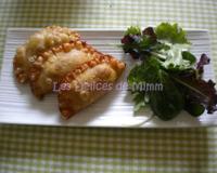 Ces samboussik (ou samboussek) font partie de tous les mezzés libanais. Ce sont de délicieuses petite rissoles à la viande. On peut aussi les servir…
