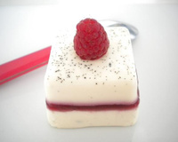 Panna Cotta framboises