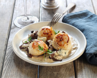 Noix de Saint Jacques aux cèpes et à la fourme d'Ambert