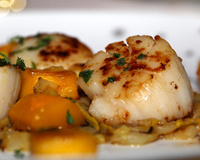 Noix de St-Jacques à la mangue sur lit de chiffonnade d'endives confites