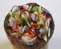 Ceviche à la Mexicaine