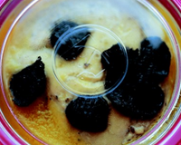 Foie gras frais entier truffé