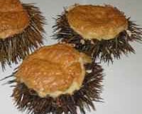 Les oursins soufflés