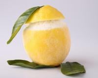 "Envie d'une pause fraîche et gourmande ?" : une diététicienne partage sa recette de citron givré maison, parfaite pour la saison estivale !