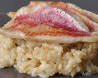 Des filets de rougets frais accompagné d'un risotto au parmesan.