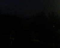 Beignets de courgettes au thon