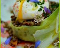 Lentilles vertes du Puy en salade et œuf poché