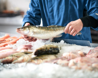 Quels poissons sont de saison au printemps ? Découvrez comment faire le bon choix !