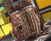 Stripe cake au chocolat