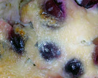 Un dessert d'automne fruité et fondant