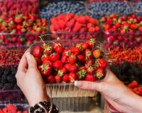 Nos astuces pour bien choisir ses fraises