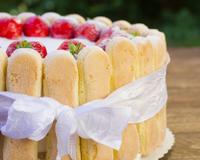 Réaliser une charlotte aux fruits, pas trop calorique, et surtout sans être un as en cuisine