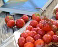 Tartine fraises et beurre de cacahuète